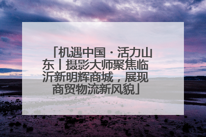 机遇中国・活力山东丨摄影大师聚焦临沂新明辉商城，展现商贸物流新风貌