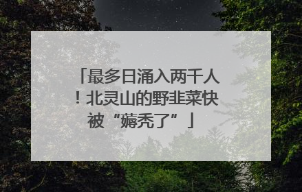 最多日涌入两千人！北灵山的野韭菜快被“薅秃了”