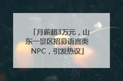 月薪超3万元，山东一景区招募语言类NPC，引发热议