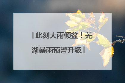 此刻大雨倾盆！芜湖暴雨预警升级