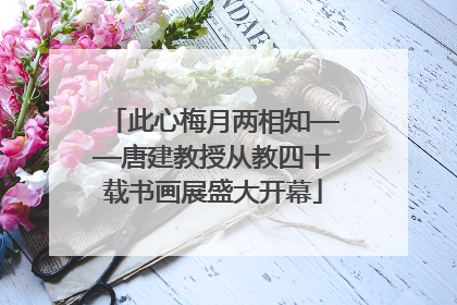 此心梅月两相知——唐建教授从教四十载书画展盛大开幕