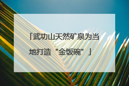 武功山天然矿泉为当地打造“金饭碗”