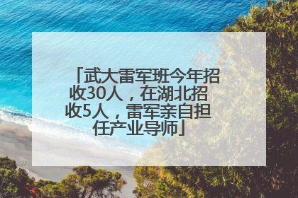 武大雷军班今年招收30人，在湖北招收5人，雷军亲自担任产业导师