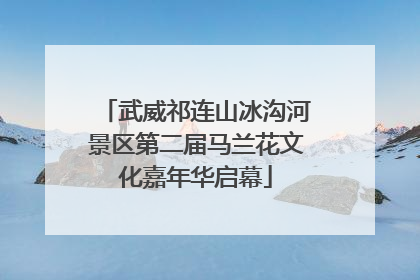 武威祁连山冰沟河景区第二届马兰花文化嘉年华启幕