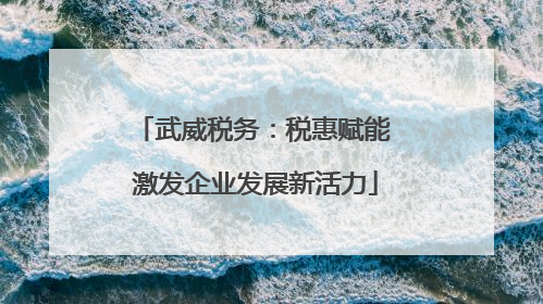武威税务：税惠赋能 激发企业发展新活力