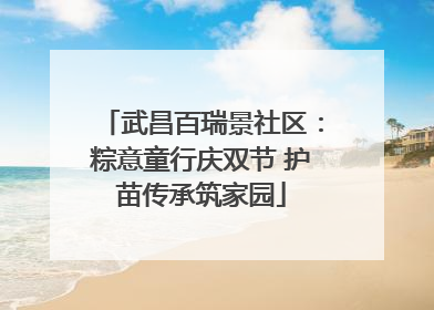 武昌百瑞景社区：粽意童行庆双节 护苗传承筑家园