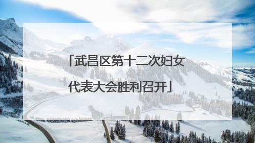 武昌区第十二次妇女代表大会胜利召开