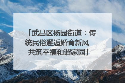 武昌区杨园街道：传统民俗邂逅婚育新风 共筑幸福和谐家园