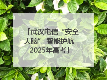 武汉电信“安全大脑” 智能护航2025年高考