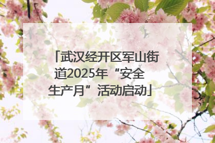 武汉经开区军山街道2025年“安全生产月”活动启动