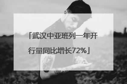 武汉中亚班列一年开行量同比增长72%