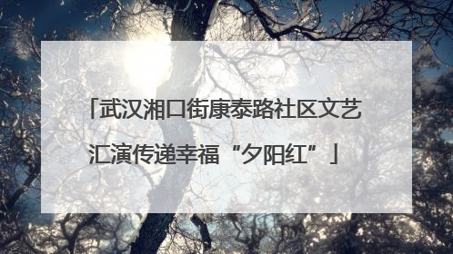 武汉湘口街康泰路社区文艺汇演传递幸福“夕阳红”