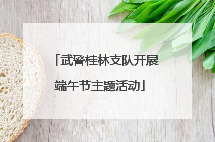 武警桂林支队开展端午节主题活动