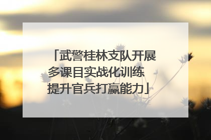 武警桂林支队开展多课目实战化训练 提升官兵打赢能力