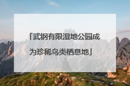 武钢有限湿地公园成为珍稀鸟类栖息地