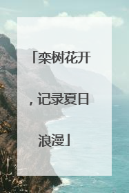 栾树花开，记录夏日浪漫