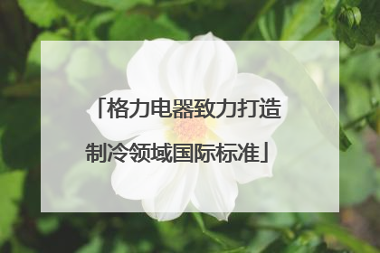 格力电器致力打造制冷领域国际标准