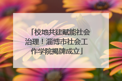 校地共建赋能社会治理！淄博市社会工作学院揭牌成立