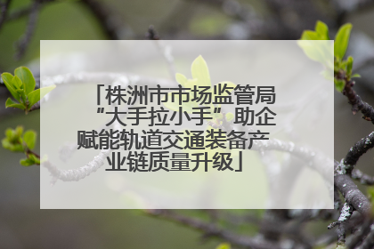 株洲市市场监管局“大手拉小手”助企赋能轨道交通装备产业链质量升级