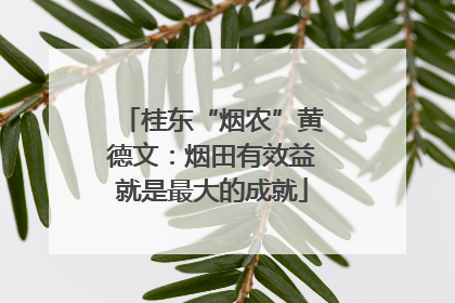 桂东“烟农”黄德文：烟田有效益就是最大的成就