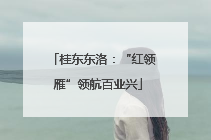 桂东东洛：“红领雁”领航百业兴