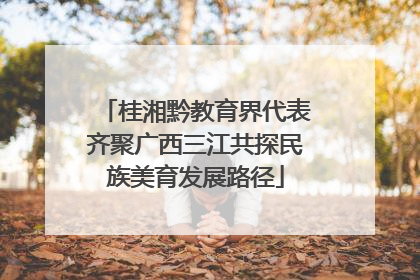 桂湘黔教育界代表齐聚广西三江共探民族美育发展路径