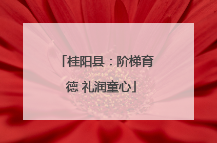 桂阳县：阶梯育德 礼润童心