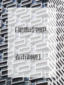 梁惠玲到伊春市调研