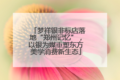 梦祥银非标店落地“郑州记忆”，以银为媒重塑东方美学消费新生态