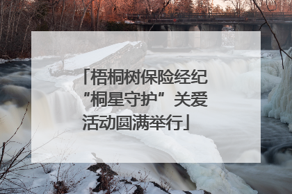 梧桐树保险经纪“桐星守护”关爱活动圆满举行