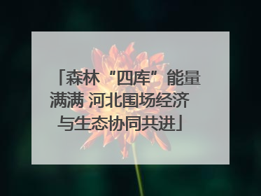 森林“四库”能量满满 河北围场经济与生态协同共进
