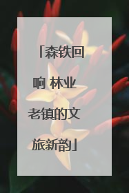 森铁回响 林业老镇的文旅新韵