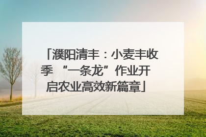 濮阳清丰：小麦丰收季 “一条龙”作业开启农业高效新篇章