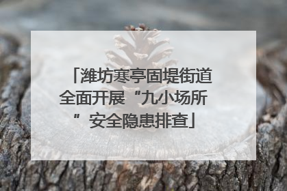 潍坊寒亭固堤街道全面开展“九小场所”安全隐患排查