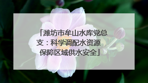 潍坊市牟山水库党总支：科学调配水资源 保障区域供水安全