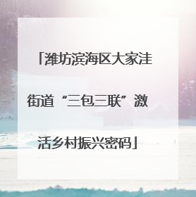 潍坊滨海区大家洼街道“三包三联”激活乡村振兴密码