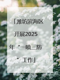 潍坊滨海区开展2025年“一喷三防”工作