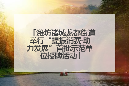 潍坊诸城龙都街道举行“提振消费·助力发展”首批示范单位授牌活动