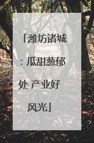 潍坊诸城：瓜甜葱郁处 产业好风光