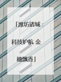 潍坊诸城：科技护航 金穗飘香