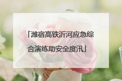 潍宿高铁沂河应急综合演练助安全度汛
