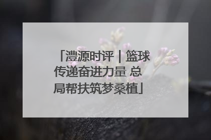 澧源时评｜篮球传递奋进力量 总局帮扶筑梦桑植