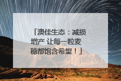 澳佳生态：减损增产 让每一粒麦穗都饱含希望！