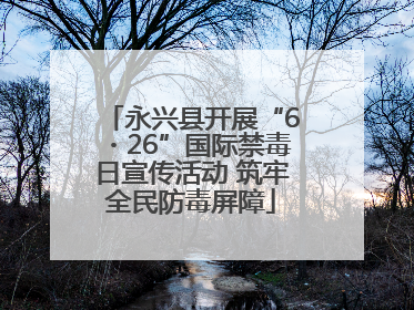 永兴县开展“6・26”国际禁毒日宣传活动 筑牢全民防毒屏障