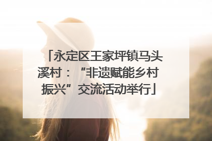 永定区王家坪镇马头溪村：“非遗赋能乡村振兴”交流活动举行