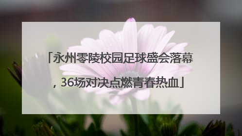 永州零陵校园足球盛会落幕，36场对决点燃青春热血