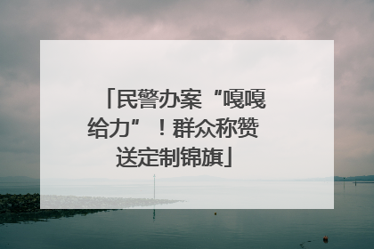民警办案“嘎嘎给力”！群众称赞送定制锦旗