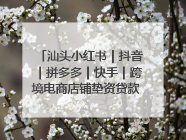 汕头小红书｜抖音｜拼多多｜快手｜跨境电商店铺垫资贷款企业-漫商易