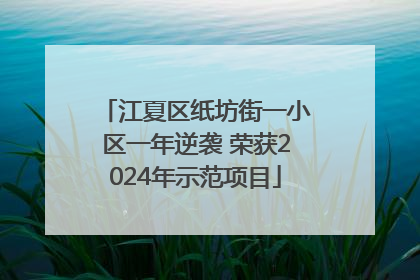 江夏区纸坊街一小区一年逆袭 荣获2024年示范项目