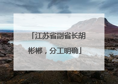 江苏省副省长胡彬郴，分工明确